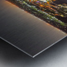 The Diplomat 2 Metal print