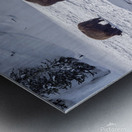 Montana 4 Metal print