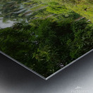 Nature   Metal print