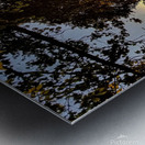 Potomac River Washington Metal print