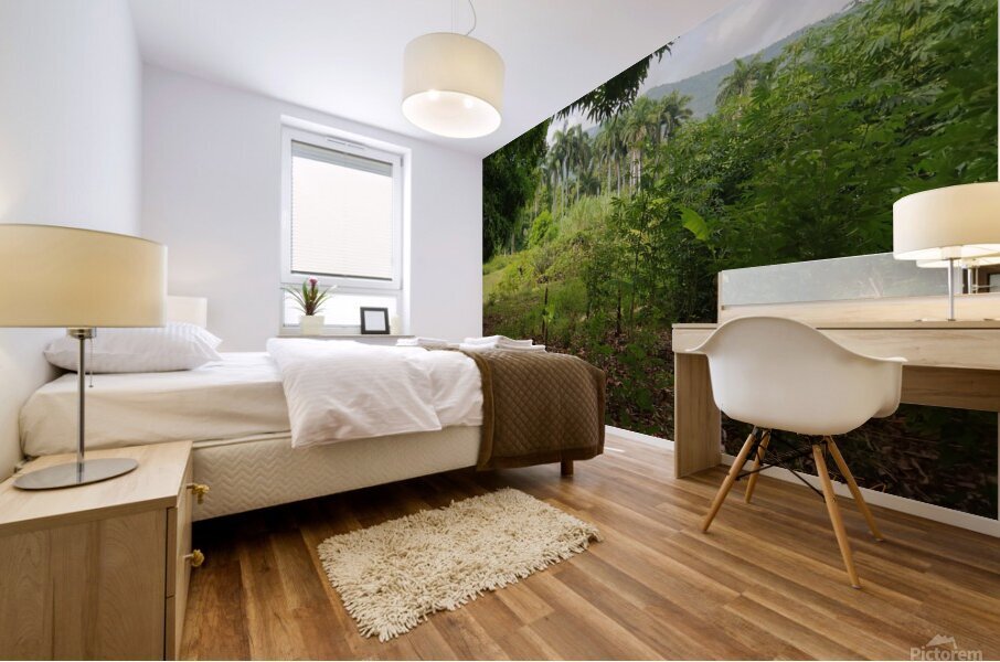 Nature   Mural print