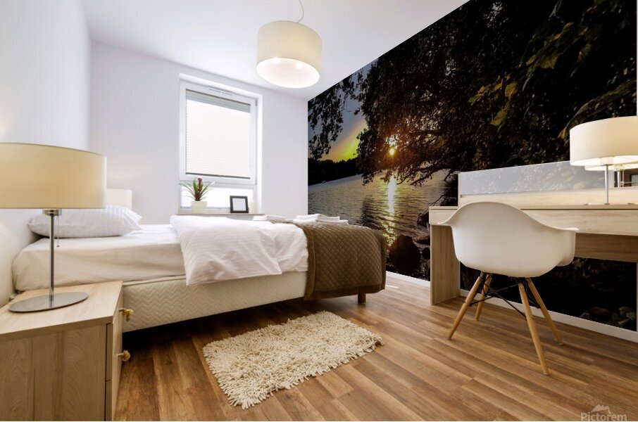 Potomac River Washington Mural print