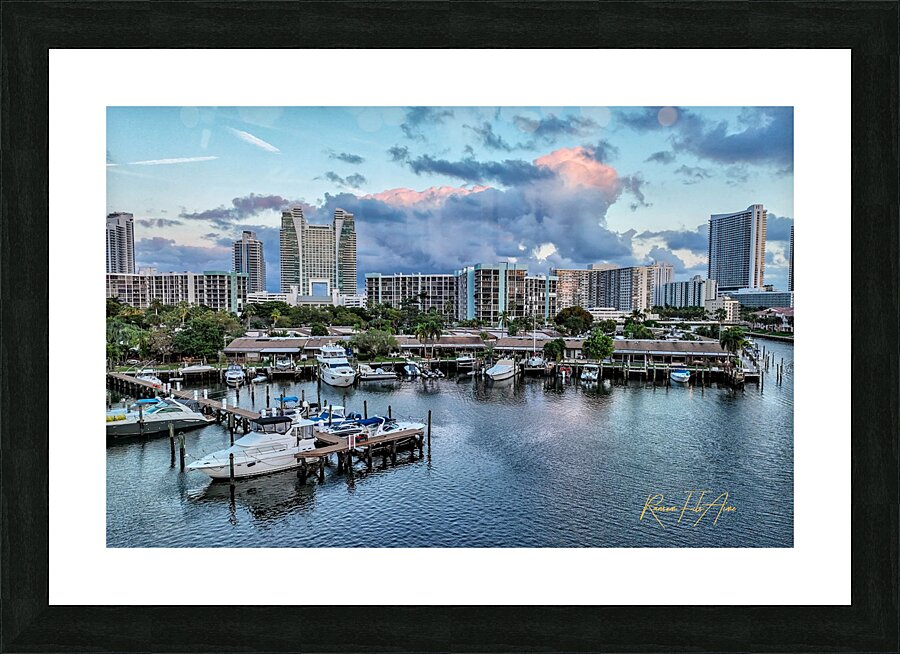 The Diplomat 10 Picture Frame print