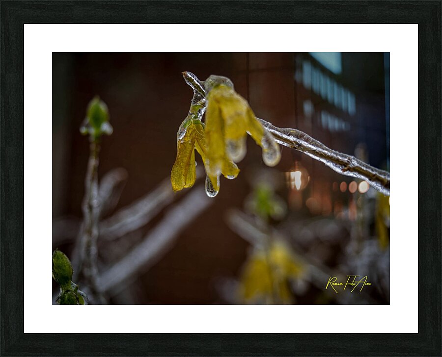 frozen 1 Picture Frame print