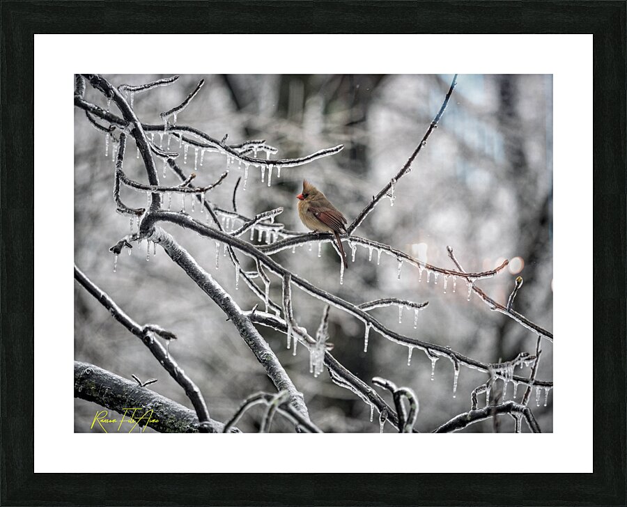 Frozen 2 Picture Frame print