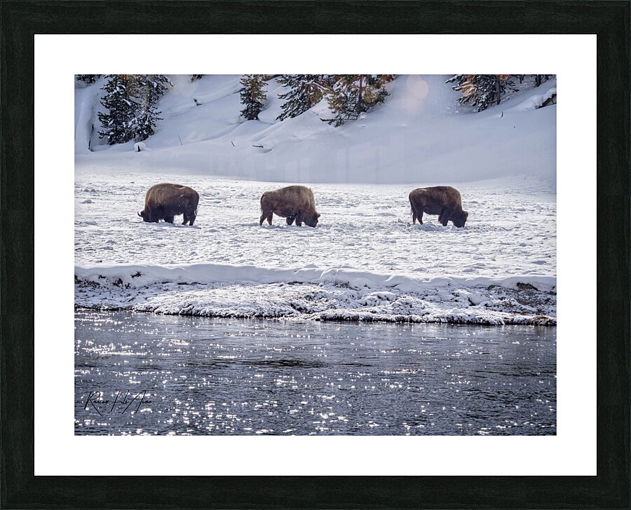 Montana 4 Picture Frame print