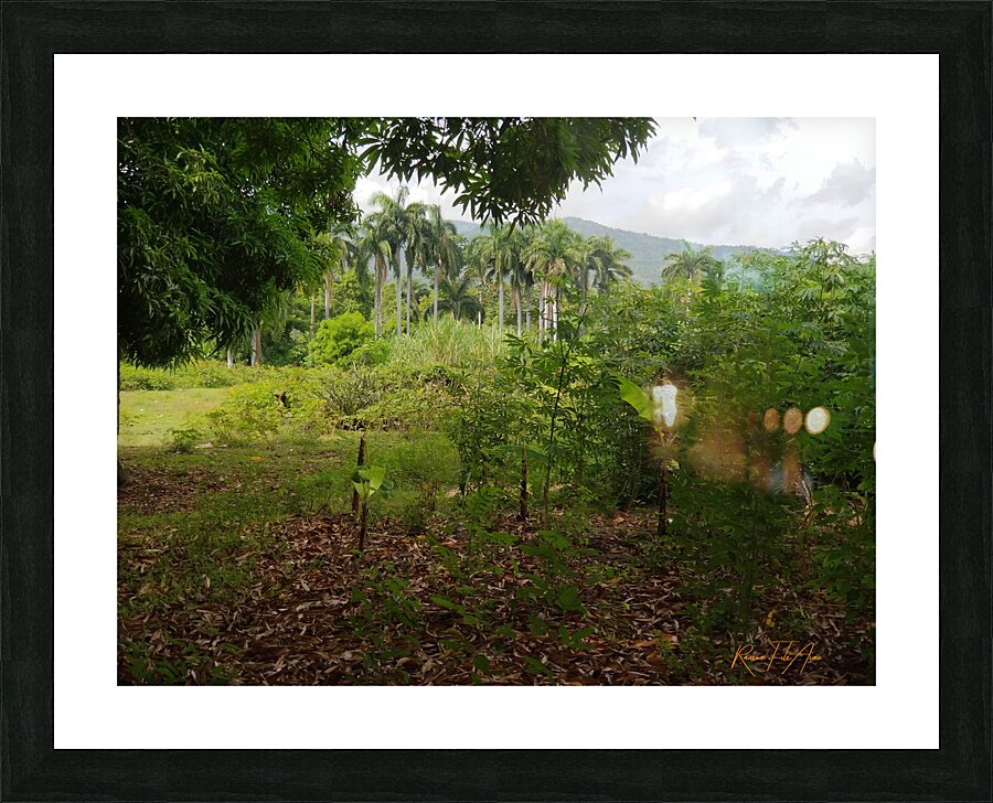 Nature   Picture Frame print