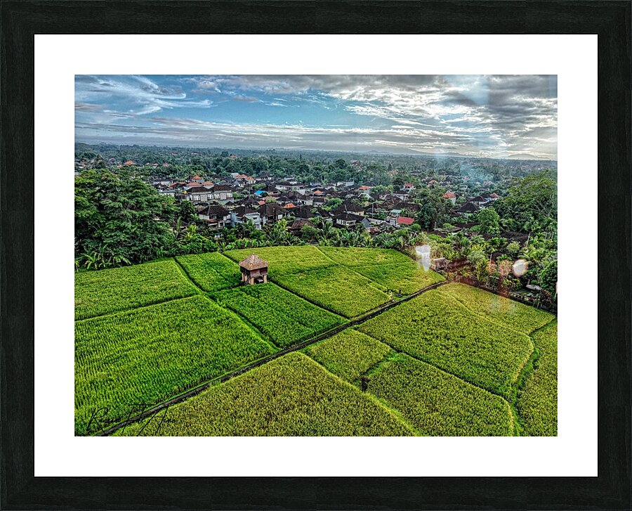 Rice field Indonesia Picture Frame print