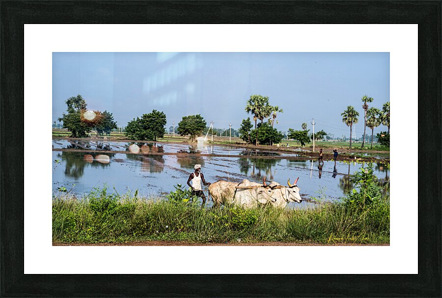 Farmer   Picture Frame print
