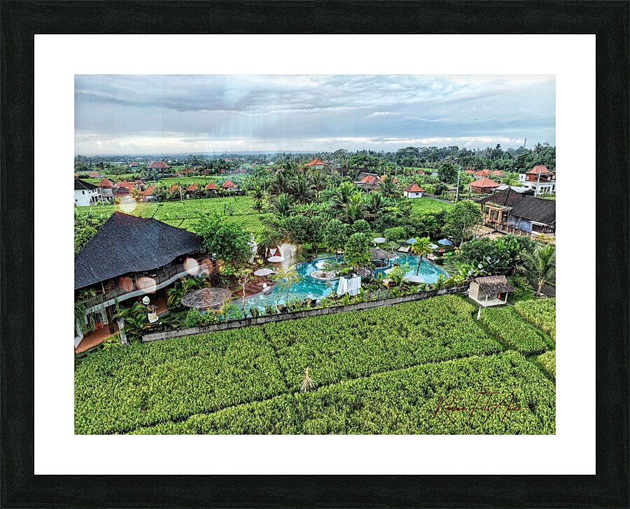Ubud openfield   Picture Frame print