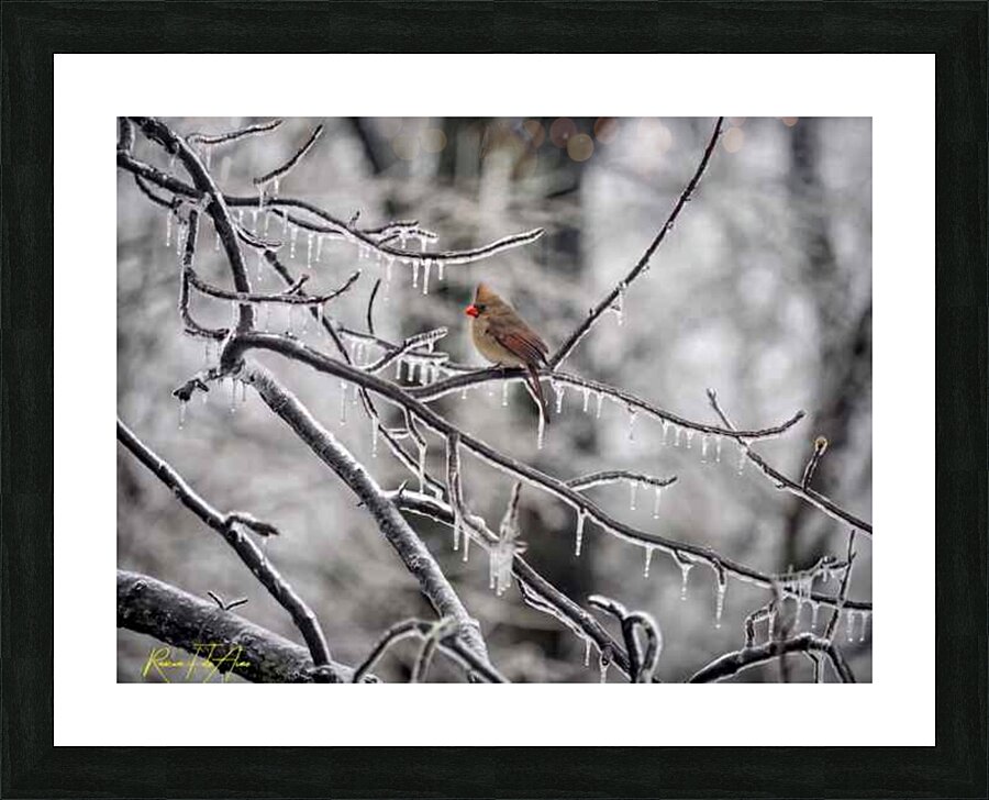 frozen S 2 Picture Frame print