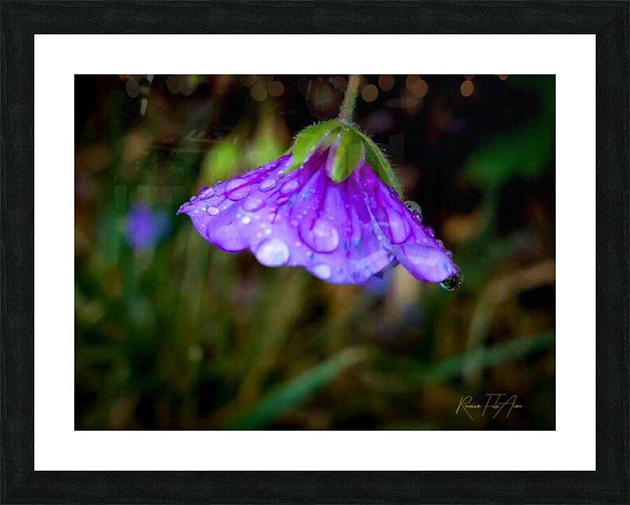 Rainy day S Picture Frame print
