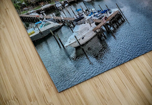 The Diplomat 10 DomaraArtscape puzzle