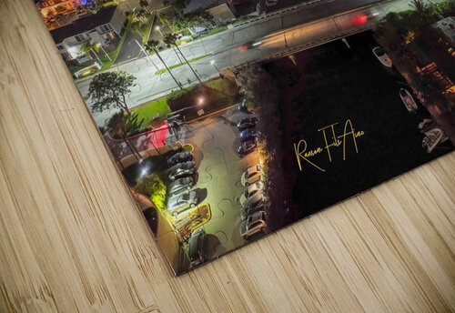 The Diplomat 2 DomaraArtscape puzzle