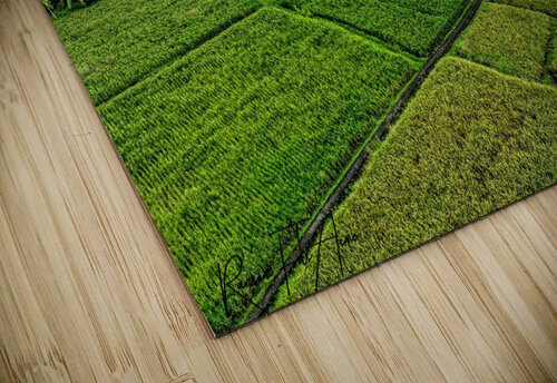 Rice field Indonesia DomaraArtscape puzzle