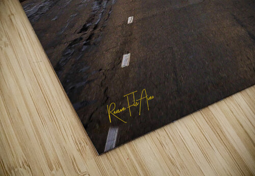 Road to the Cosmodrome Kazakhstan 1 DomaraArtscape puzzle