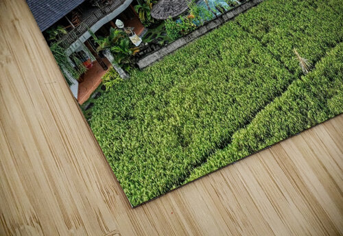 Ubud openfield   DomaraArtscape puzzle