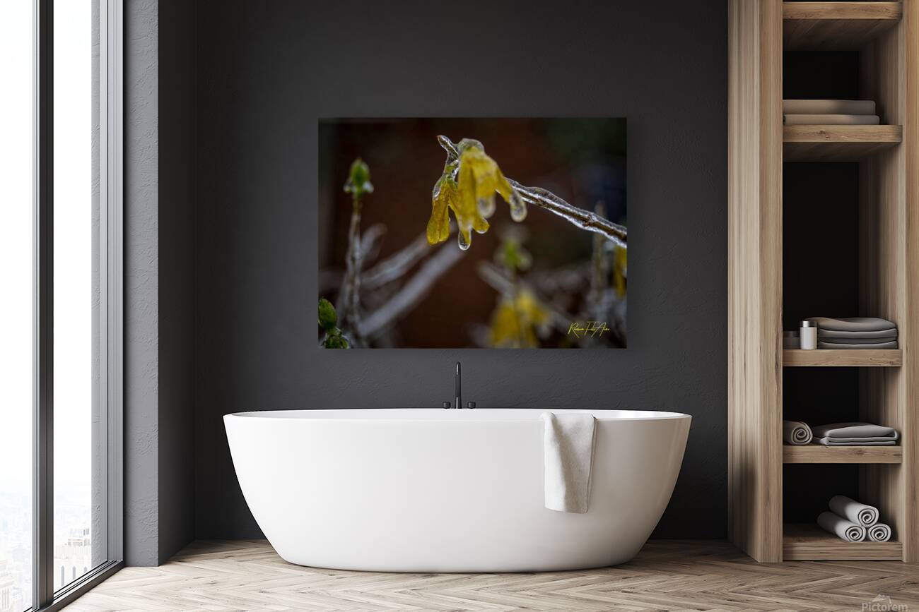 frozen 1 Reproduction