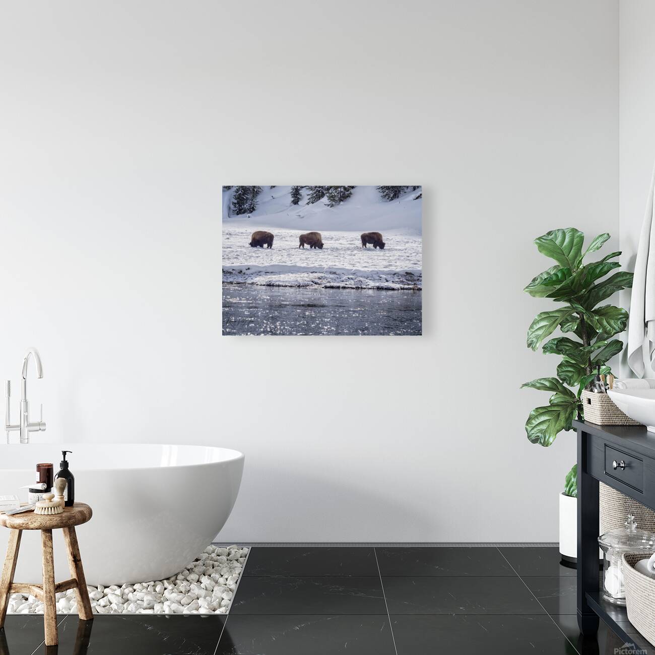 Montana 4 Reproduction