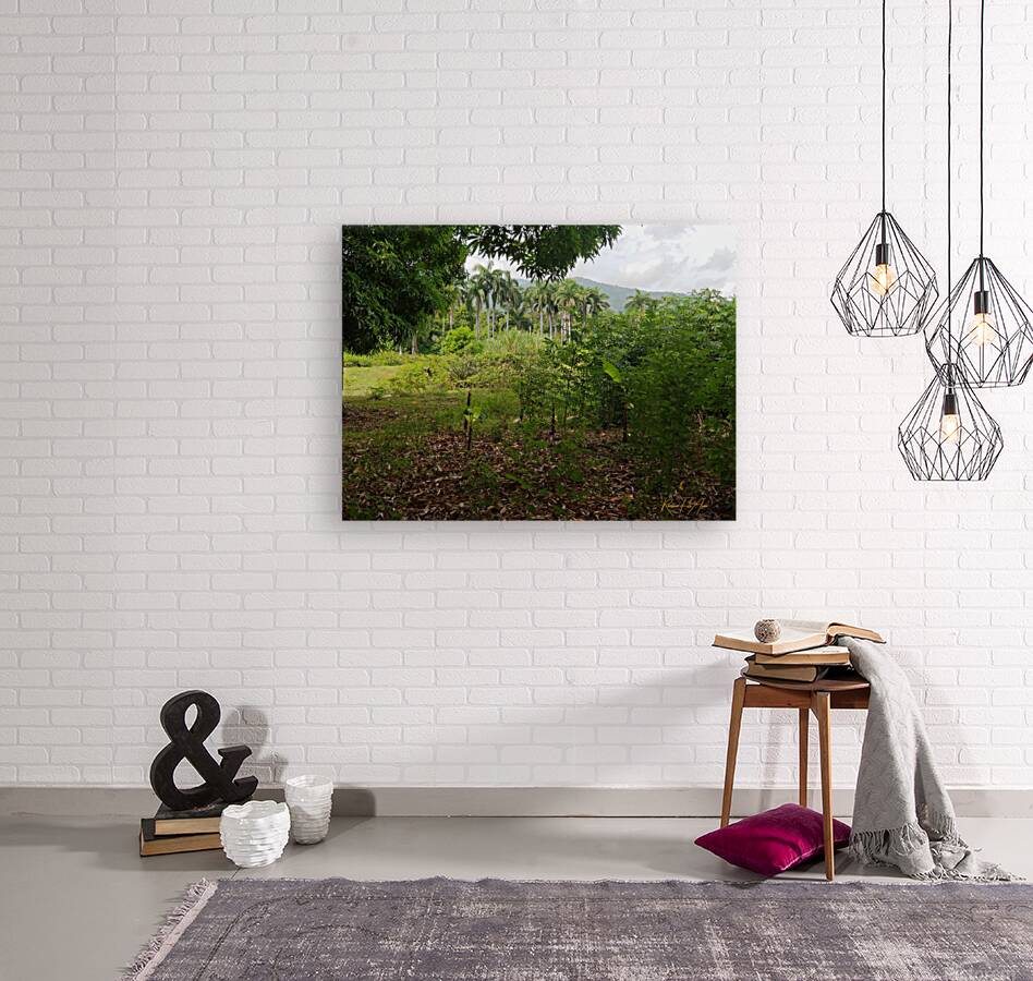 Nature   Reproduction