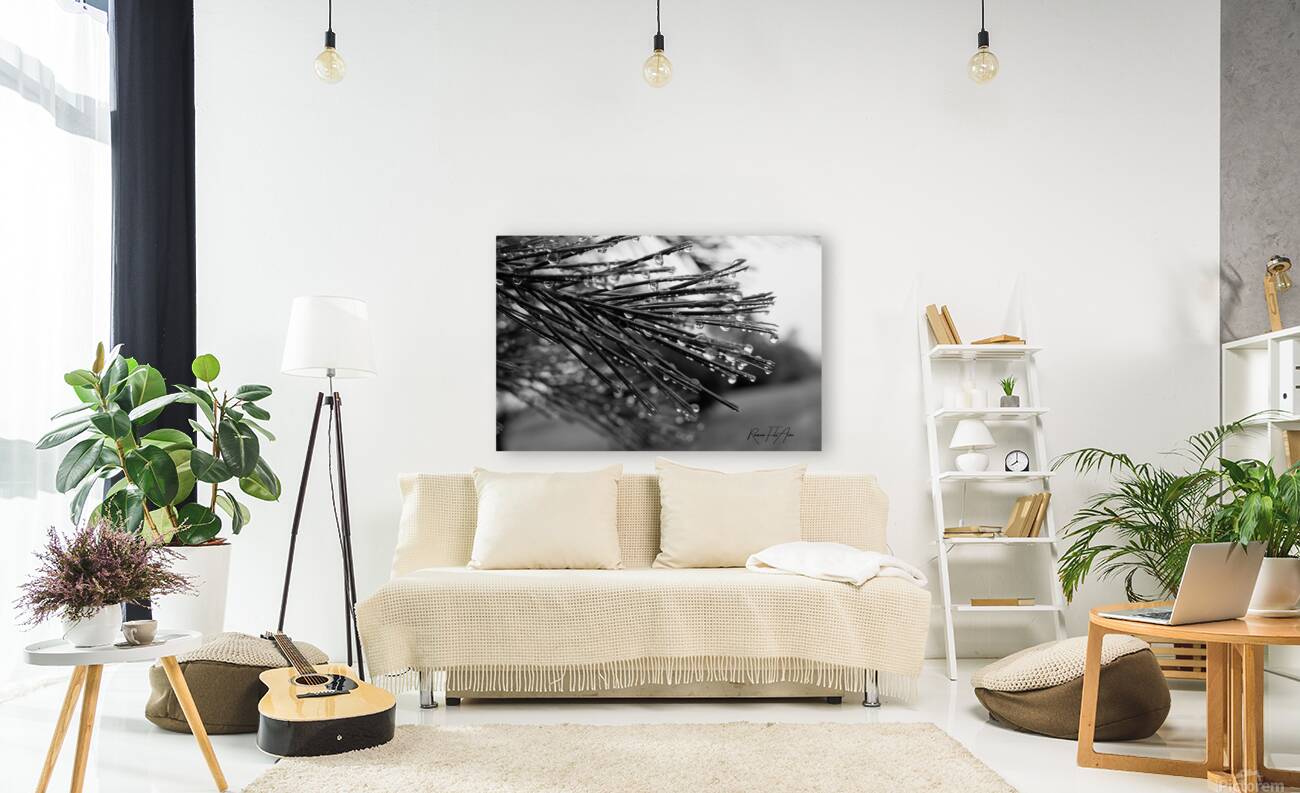 Wet pines Reproduction