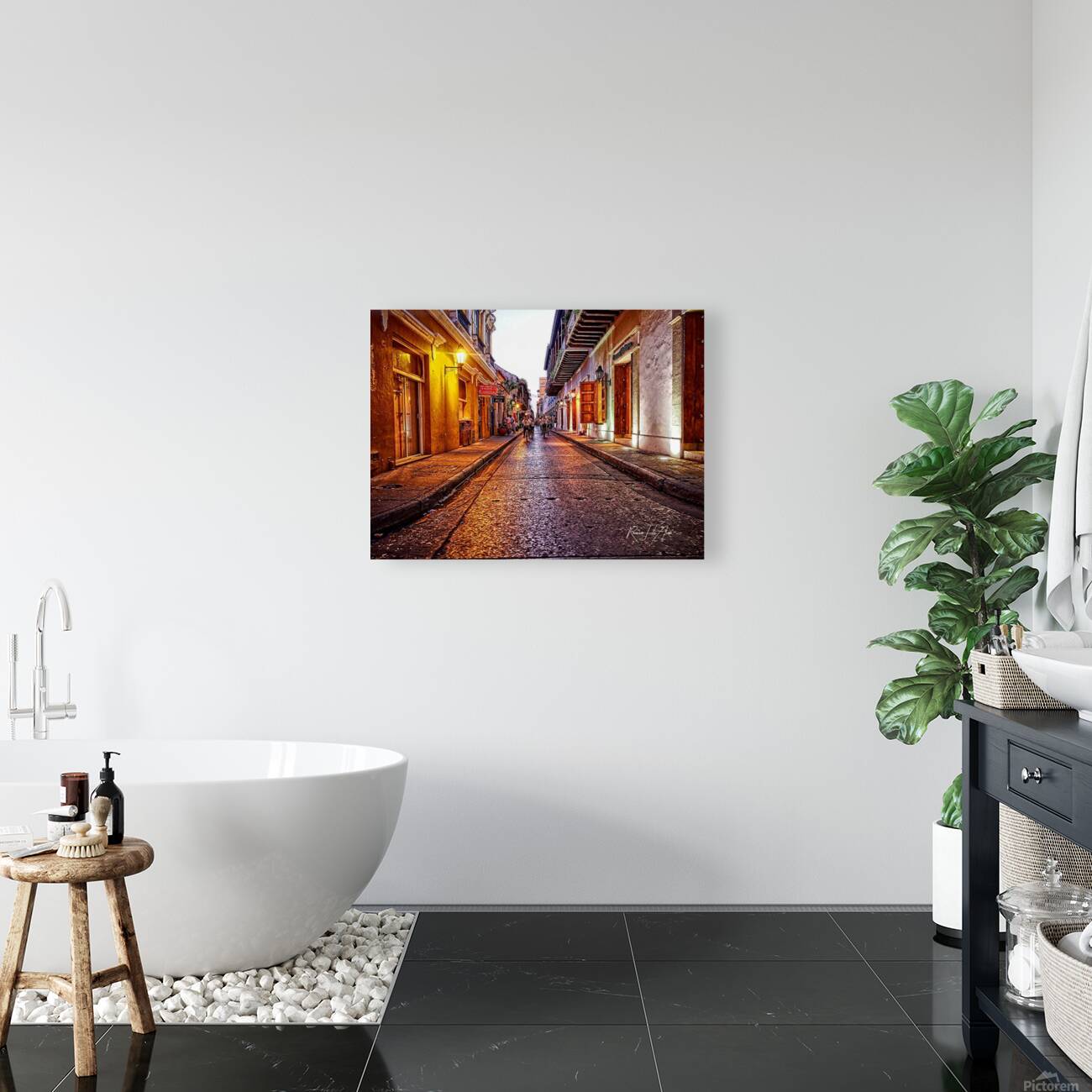 Cartagena   Reproduction