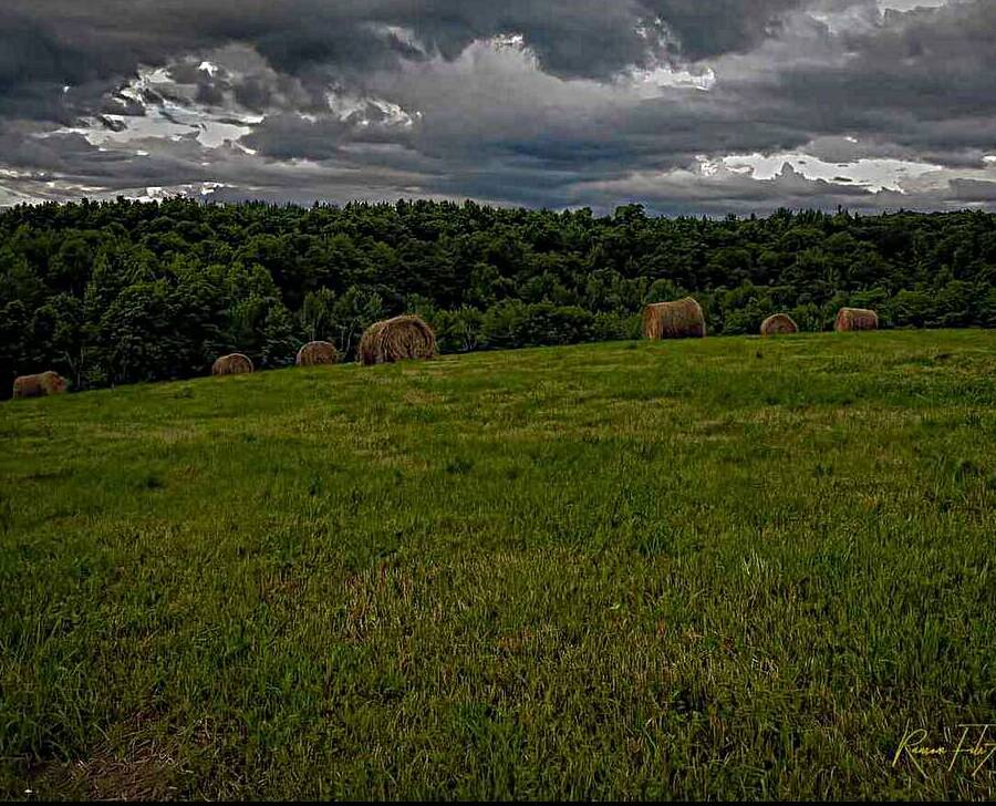 Hay roll S by DomaraArtscape