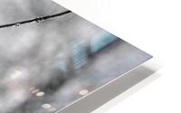 Frozen 2 HD Metal print