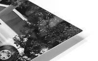 Love S HD Metal print