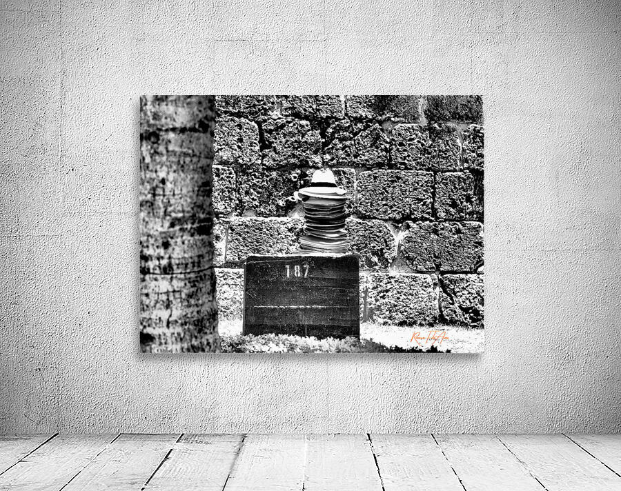 Columbian Hats Wall Preview