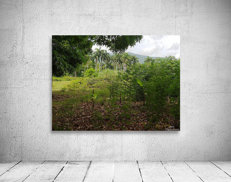 Nature   Wall Preview