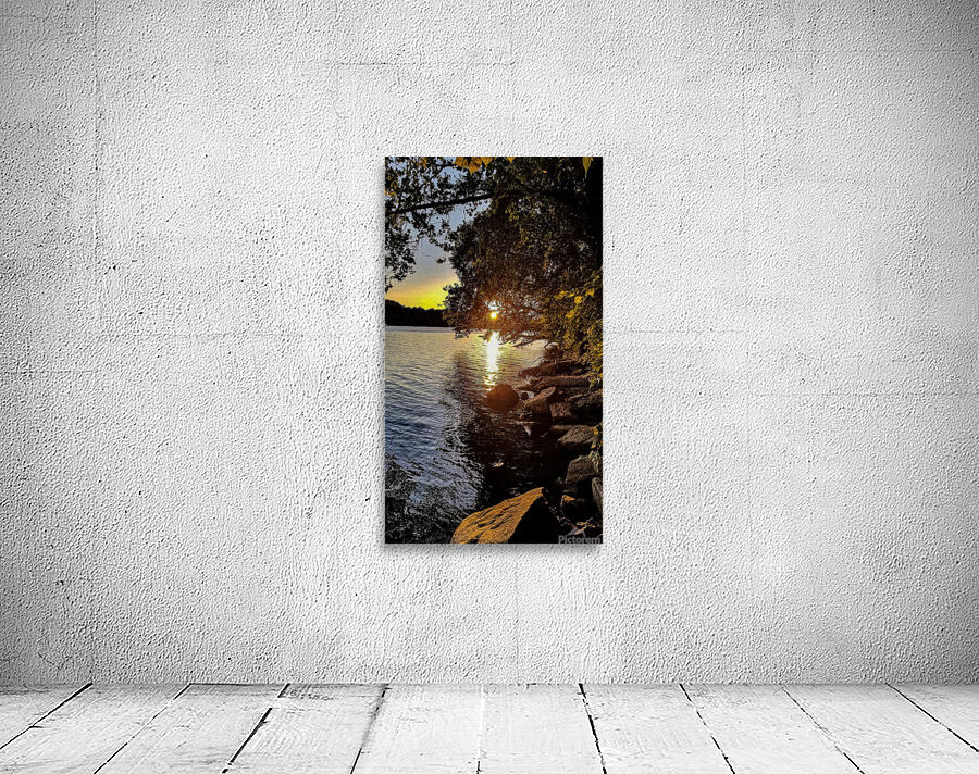 Potomac River Washington Wall Preview