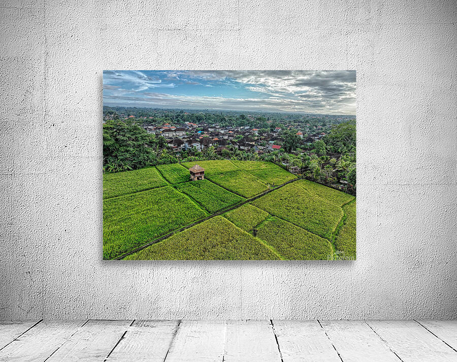 Rice field Indonesia Wall Preview