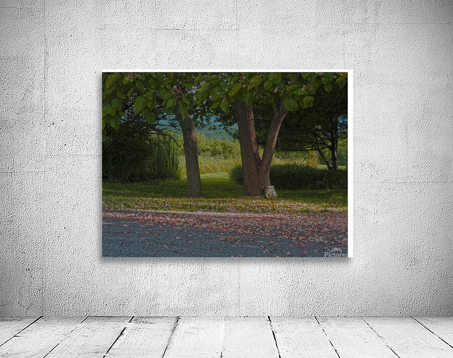 Alcove NY 1 Wall Preview