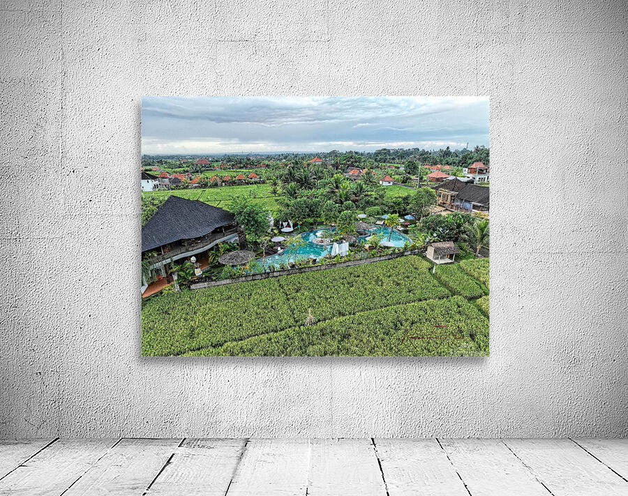 Ubud openfield   Wall Preview