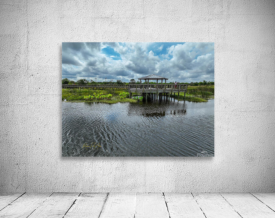 Celery field 8  Wall Preview