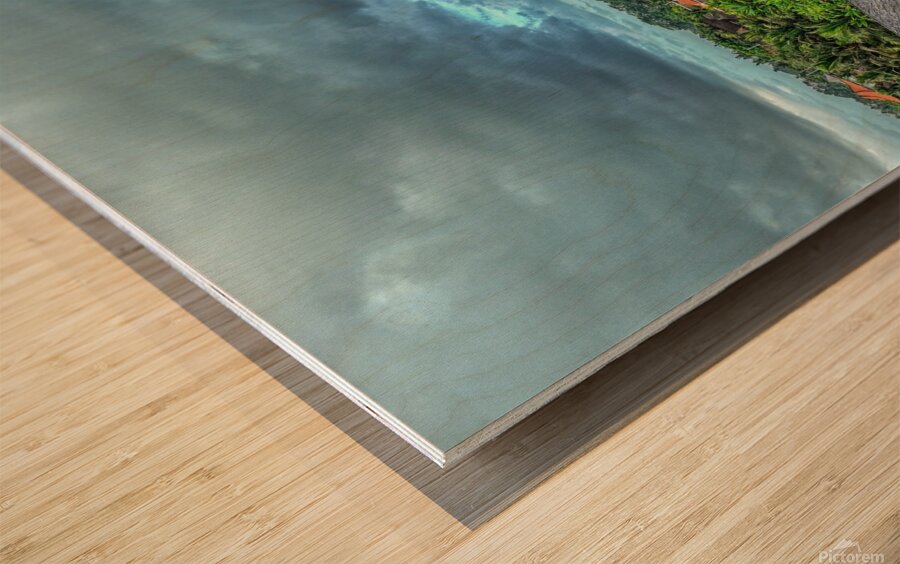 Good day villa  Wood print