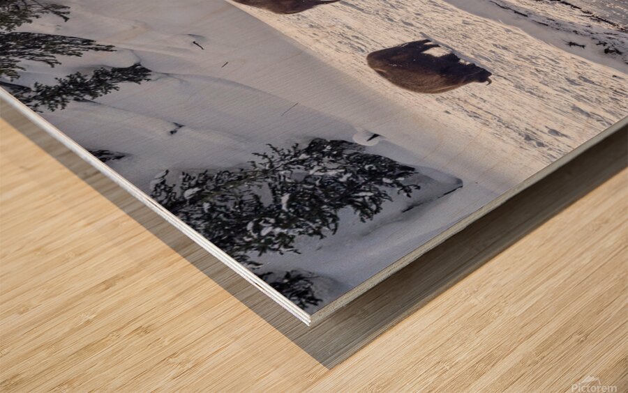 Montana 4 Wood print