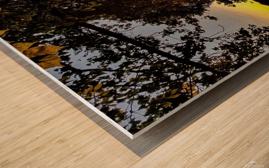 Potomac River Washington Wood print