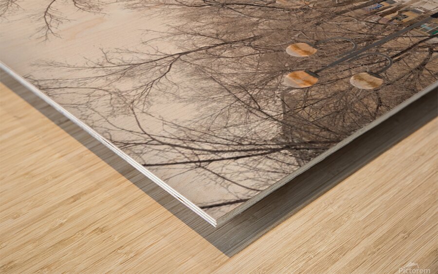 Rbat Baikonur Kazakhstan Wood print