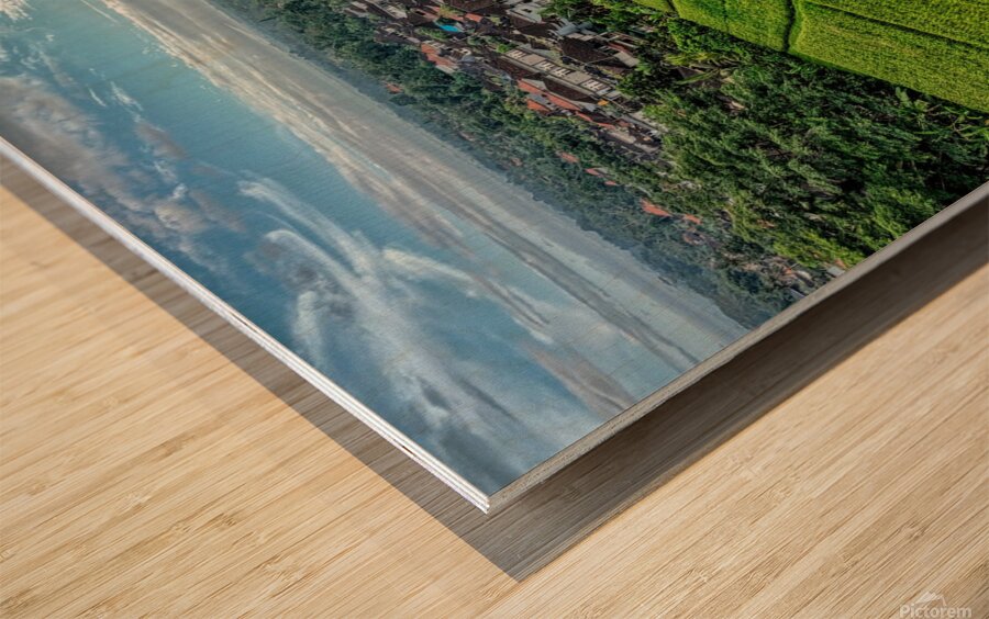 Rice field Indonesia Wood print