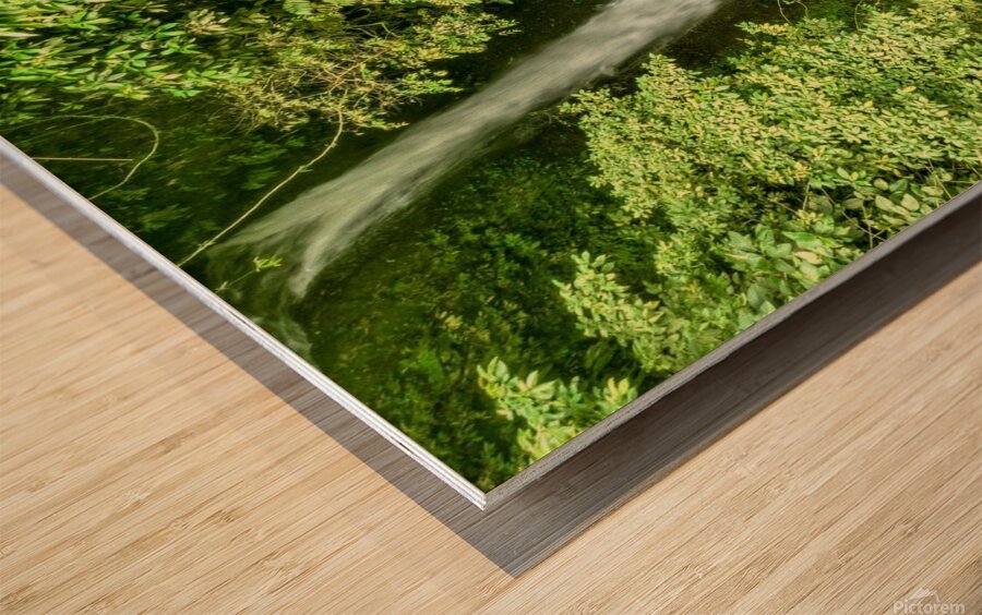 Seririt Gigit waterfall  Indonesia Wood print