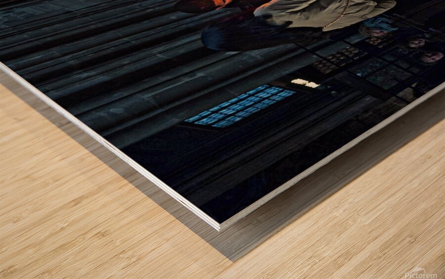 St Stephen Cathedral  Wood print