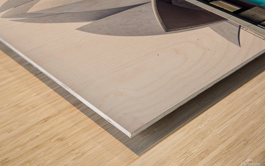  lotus temple India Wood print