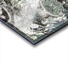 image3A6821_mirror3 Acrylic print