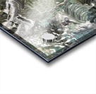 image3A6821_mirror2 Acrylic print