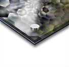 image3A6821_mirror30 Acrylic print