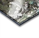 image3A6821_mirror10 Acrylic print