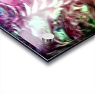 1550076340801 Acrylic print