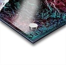 1561857532788 Acrylic print